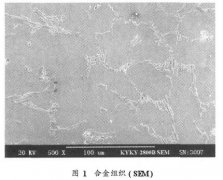 循環(huán)流化床鍋爐用高溫耐磨蝕熱電偶保護(hù)套管